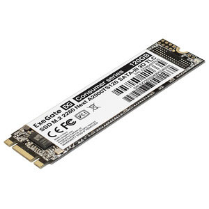 SSD M.2 2280 120GB ExeGate® Next A2000TS120
